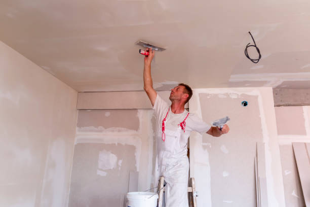 Best Drywall Installation  in Brass Castle, NJ